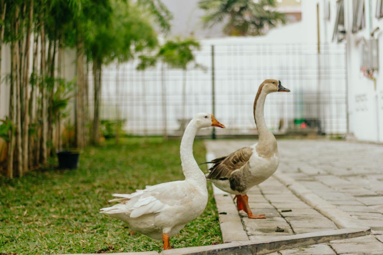Urbanest Inn House Slipi Cakarta Dış mekan fotoğraf